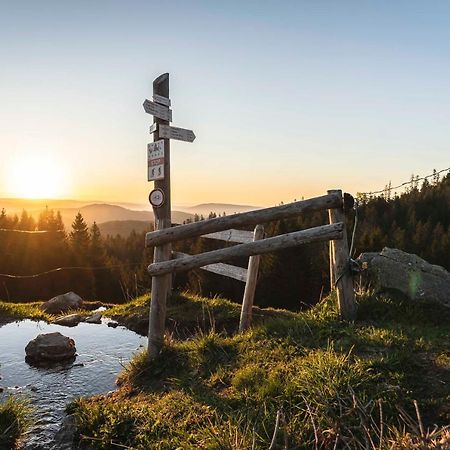 Waldhotel Fehrenbach 힌터짤텐 외부 사진
