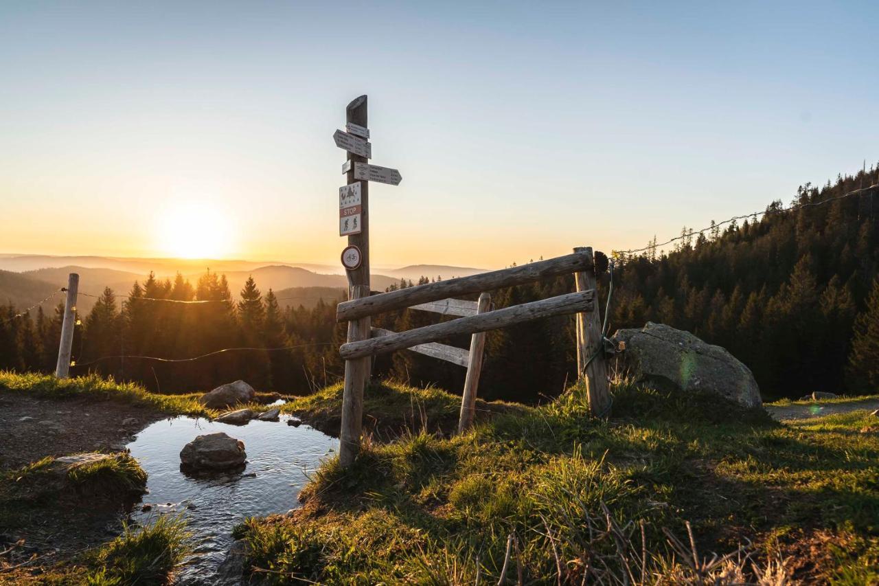 Waldhotel Fehrenbach 힌터짤텐 외부 사진