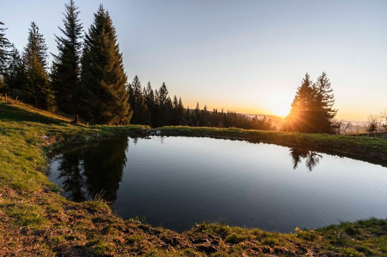 Waldhotel Fehrenbach 힌터짤텐 외부 사진
