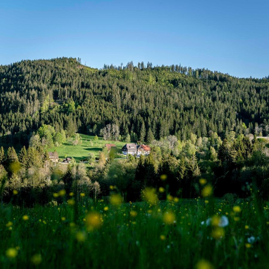 Waldhotel Fehrenbach 힌터짤텐 외부 사진
